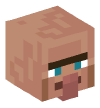 Head — Villager — 42949