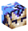 Head — Magus