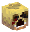 Head — Logbook Chica