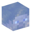 Head — Frozen Steve