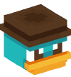 Head — Perry The Platypus