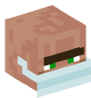 Head — Villager — 49905