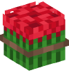 Head — Compacted Wild Rose
