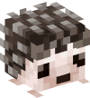 Head — Hedgehog
