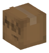 Head — Cardboard Box