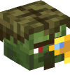 Head — Cartographer Zombie Villager — 31533