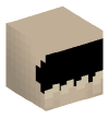 Head — Jaw Bone