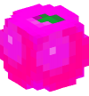 头 — 粉红色浆果 — 14015