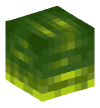 头 — Titanoboa（身体）
