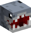 Head — Shark