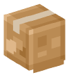 Head — Cardboard Box