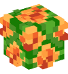 Head — Marigolds