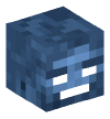 Head — Wither Invulnerable — 6828