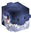 Head — Shark
