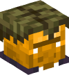 Head — Gold Swamp Zombie Villager