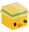 Head — Duck