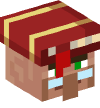 Head — Librarian Villager — 32909