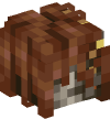 Head — Radagon