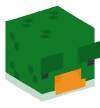 Head — Duck