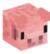 Head — Pig — 6016