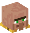 Head — Nitwit Villager — 32846