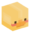 Head — Duck