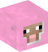 Head — Sheep (pink) — 3915