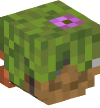Head — Azalea Barrel