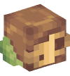 Head — Laputa Robot