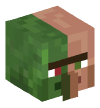 Head — Half-Zombie Villager