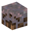 Head — Mycelium