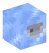 Head — Fish in Ice