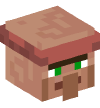 Head — Butcher Villager