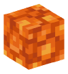 Head — Resin Block