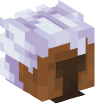 Head — Vergil Capybara