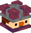 Head — Duck Knight