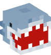 Head — Shark