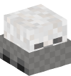 Head — Skeleton in Minecart