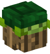 Head — Turtle on a Log