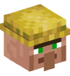 Head — Farmer Villager