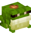 Head — Common Frog (bronze)