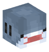 Head — Shark