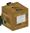 Head — Box