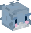 Head — Shark