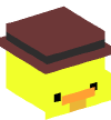 Head — Duck