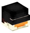 Head — Duck