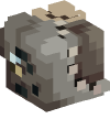 Head — Entomologist