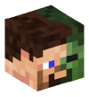 Head — Infected Steve