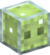 Head — Slime in a Box