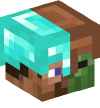 Head — Infected Steve